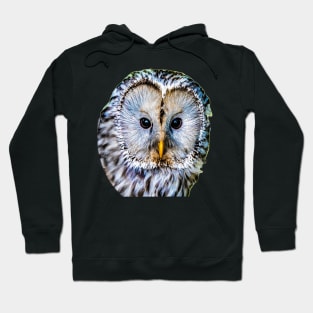 Realistic color pattern - eyes and head of an owl Hoodie